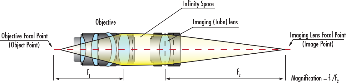 Infinity Corrected Objectives